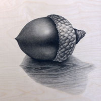 Ingrained Nature Part 1 by Michelle E. Himes-McCrory