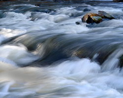 Lower Mountian Fork River by Randall Watkins