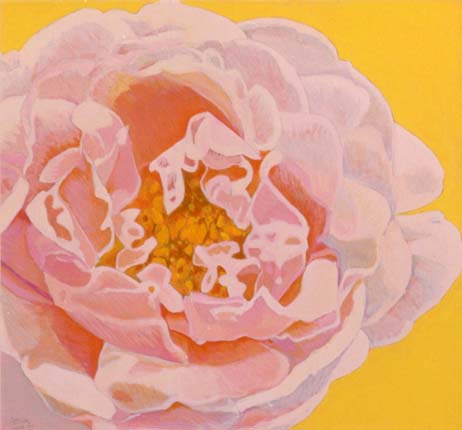 Rose by John Arthur