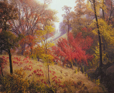Autumn Woods North of Tahlequah by Wilson Hurley