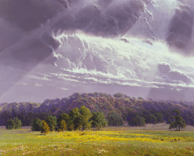 Spring Morning Along the Muddy Boggy by Wilson Hurley