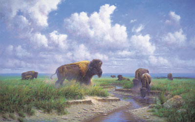 Tallgrass Prairie by Wayne Cooper