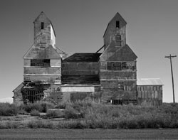 Bartlett Grain Cosmall by Jim Richey