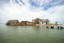 Ft. James Island River by Douglas Henderson