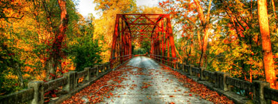 Colors of Fall by Patricia Isbell